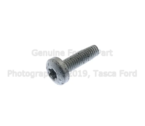 Door Latch Screw - Ford (-W504755-S442)