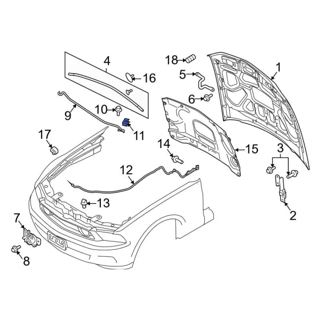 Valance Panel Nut - Ford (-W520802-S441) - view 14