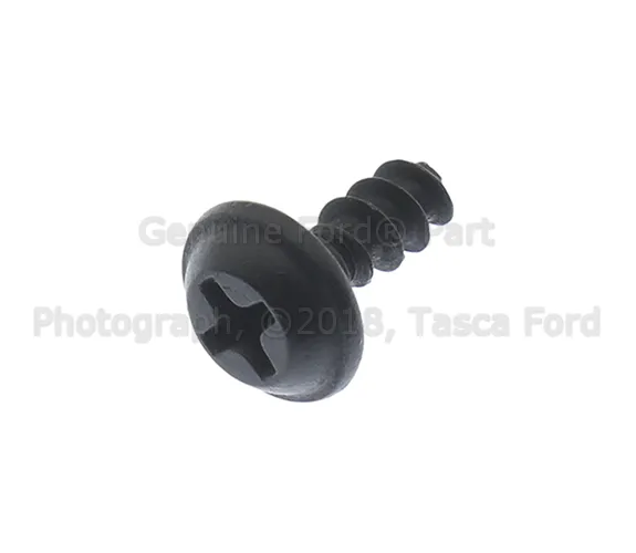 Windshield Pillar Trim Screw - Ford (-W701678-S424)