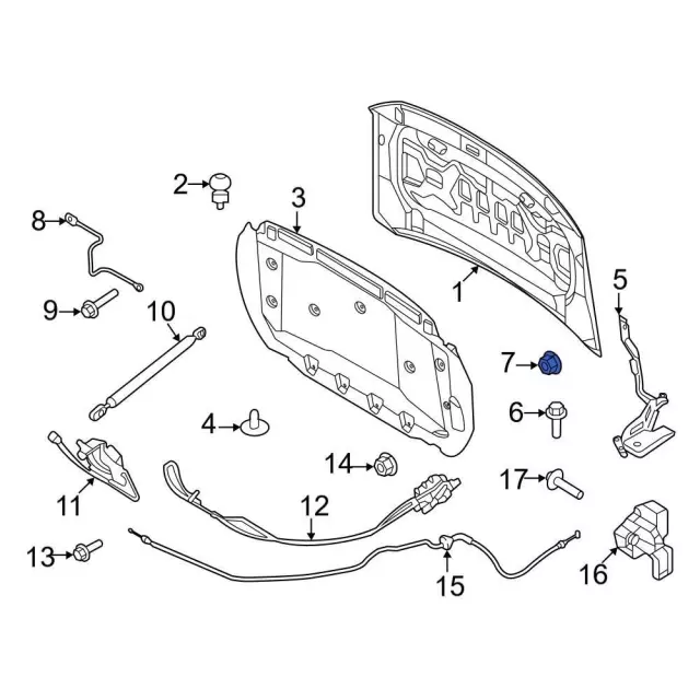 Hinge Nut - Ford (-W716538-S450B) - view 9