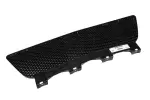 Lower Grille - GM (10364296) - view 6