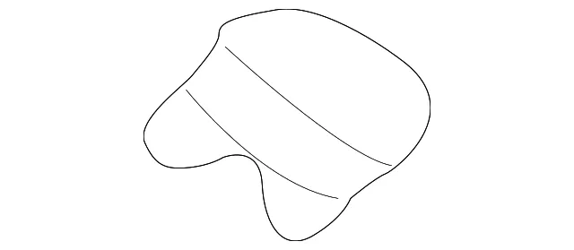 Upper Molding Retainer - GM (10429599)