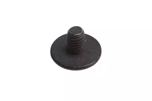 Applique Bolt - GM (11517752)