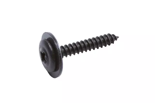 Door Trim Panel Screw - GM (11561668)