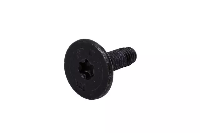 Door Latch Bolt - GM (11612102)