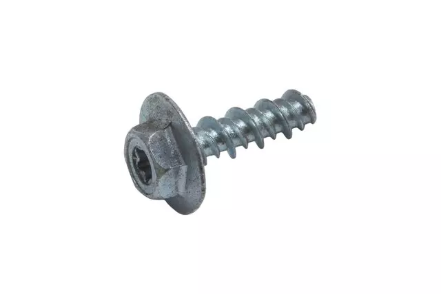 Door Armrest Bolt - GM (12482421)