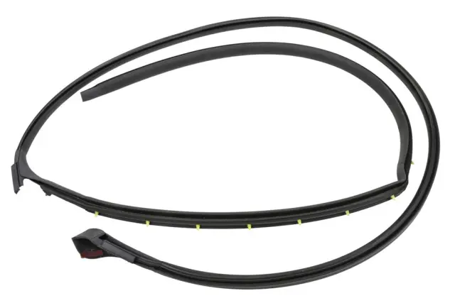 Roof Weather-Strip - Passenger Side (RH) - GM (15872266)