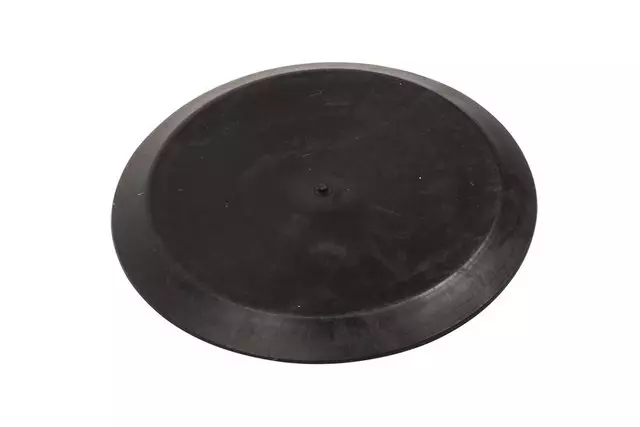 Door Plug - GM (15998824) - view 2