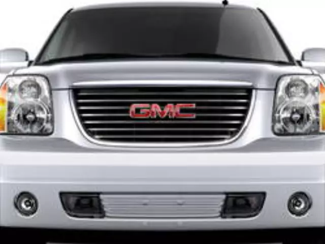 Grille Insert - GM (17801285) - view 2