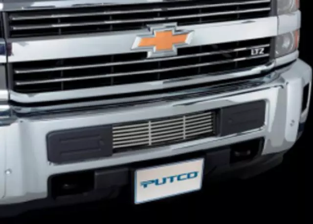 Bumper Grille Insert - GM (19418160) - view 2