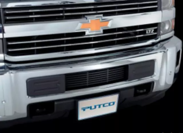 Bumper Grille Insert - GM (19418161) - view 2