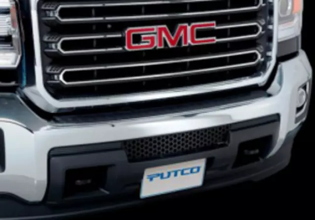 Bumper Grille Insert - GM (19418163) - view 2