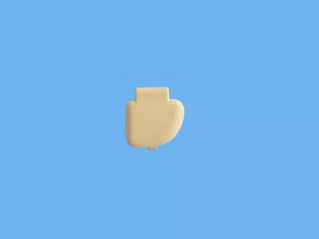 Grab Handle Cover, Left - Mopar (1WP27ML2AA) - view 3