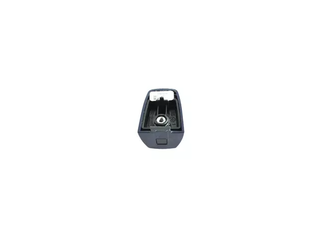 Door Handle Cap - Mopar (1rh61kbxae) - view 4