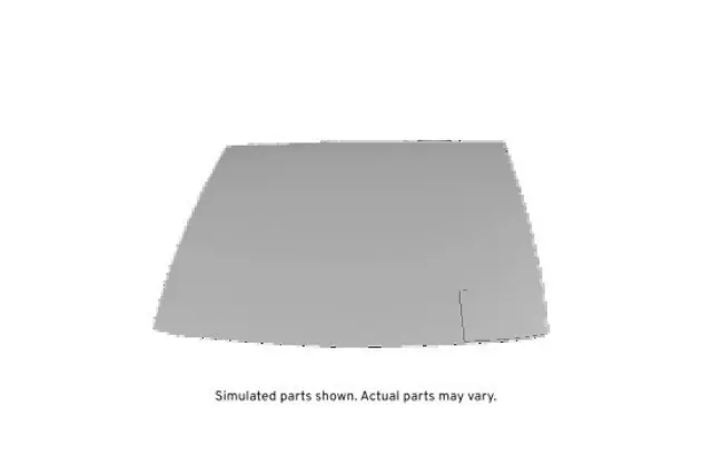 Windshield - GM (21994281)