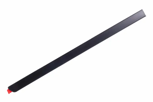 Side Molding - Passenger Side (RH) - GM (22763944)