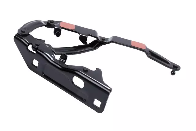 Hinge - Passenger Side (RH) - GM (22772873) - view 5