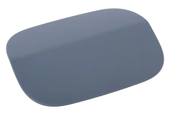 Door - GM (22991268)