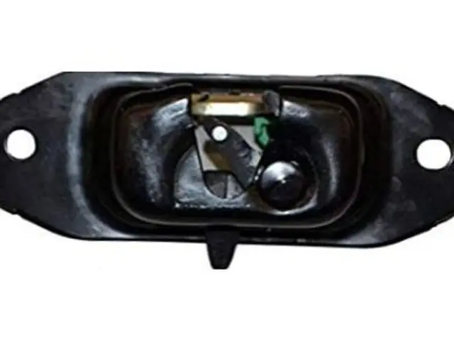 Tailgate Latch Assembly - GM (23158822) - view 4