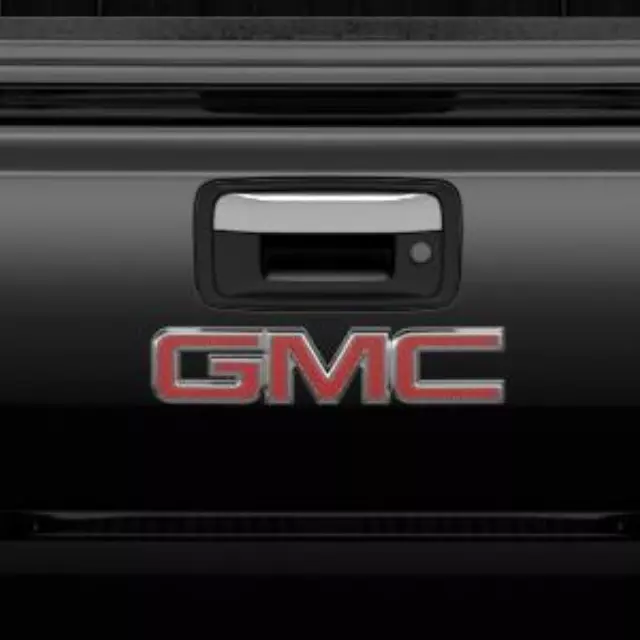 Tailgate Handle - GM (23448685) - view 5