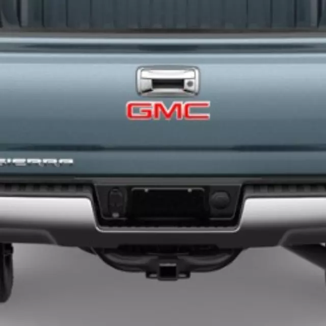 Tailgate Handle - GM (23448685) - view 6
