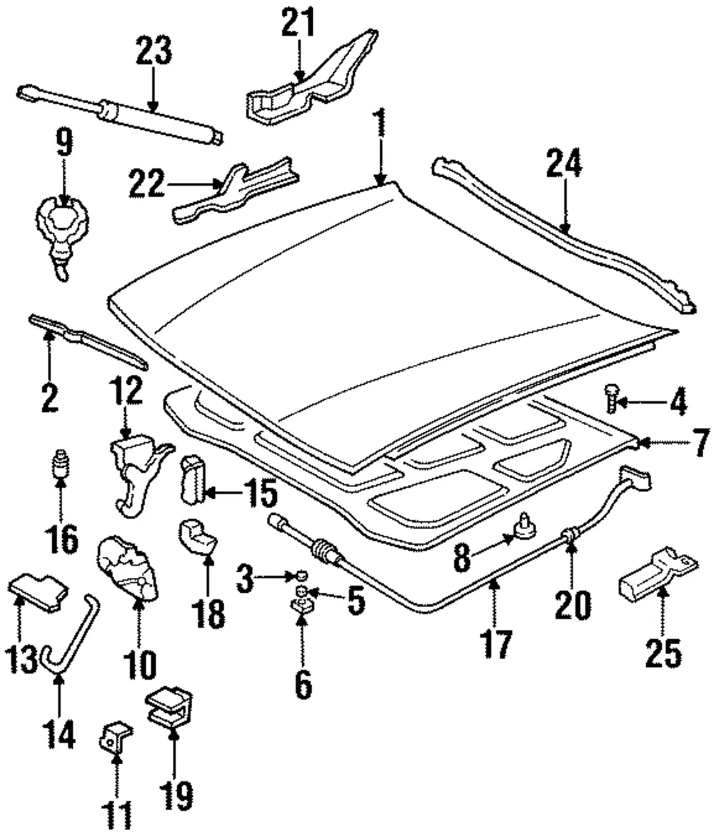HINGE ASM HOOD - GM (25674651)