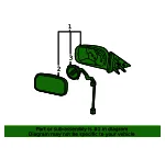 Mirror Assembly - GM (25823085) - view 11