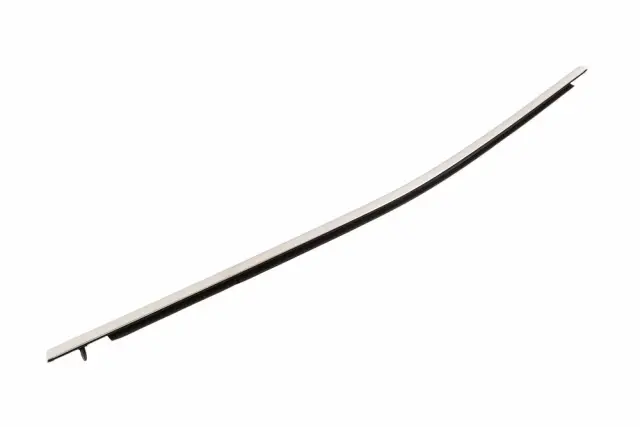 Belt Molding - GM (26521654)