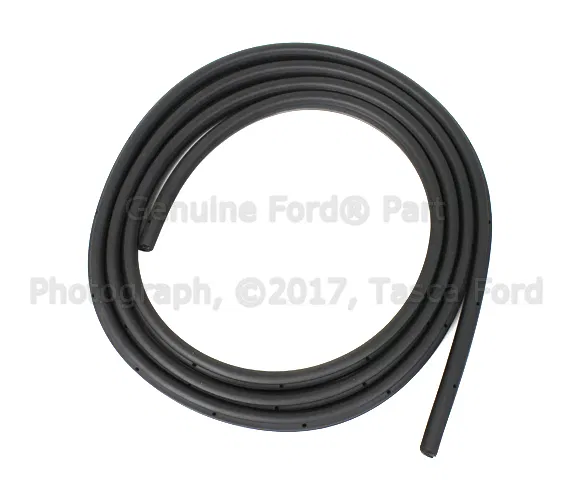 WEATHERSTRIP - Ford (3C3Z-2820709-BA)