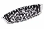 Front Grille - GM (42390013) - view 5