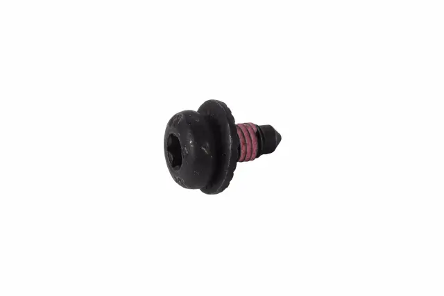 Sunroof Glass Bolt - GM (42690370)
