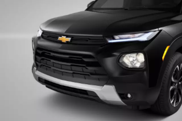 Grille Insert - GM (42712434)