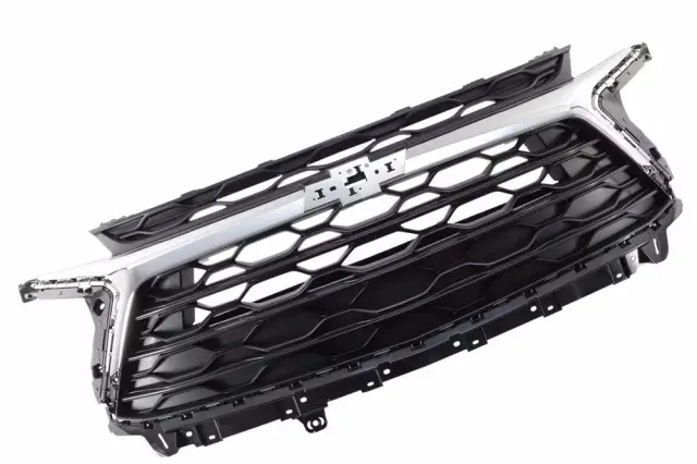 Grille Assembly - GM (42727489) - view 5
