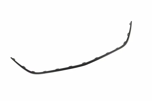 Molding - GM (42733037)