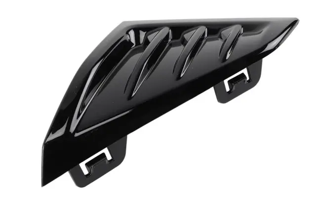 Molding - GM (42780294)