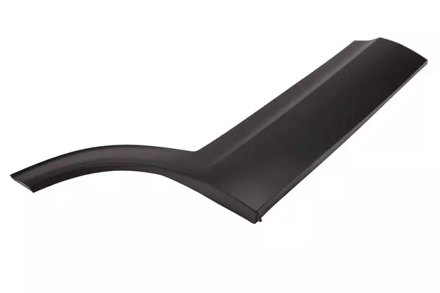 Lower Molding - GM (42810511)
