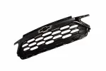 Grille Assembly - GM (42883407) - view 5