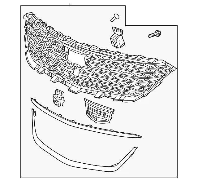 Grille Assembly - GM (42901472) - view 2