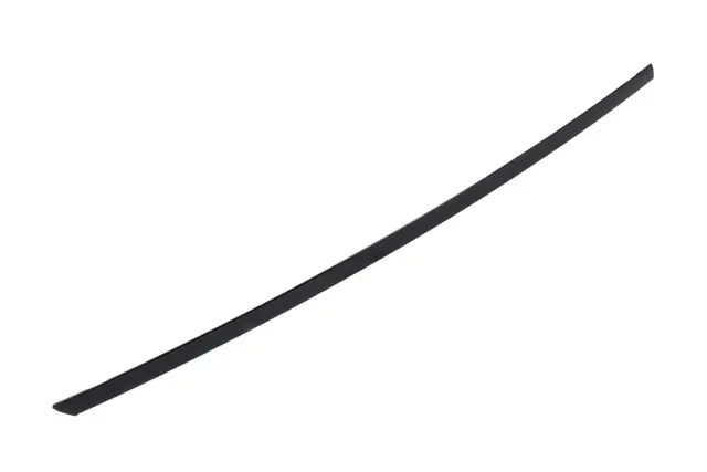 Molding - GM (42905709)