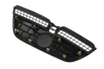 Front Grille - GM (42955173) - view 9