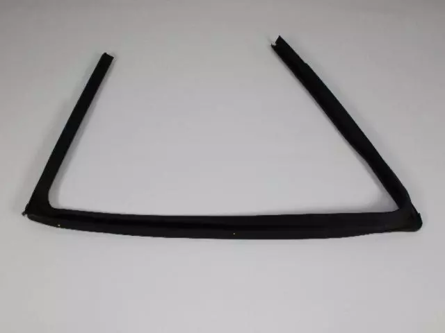 Glass Weather-Strip - Passenger Side (RH) - Mopar (4894686AC)