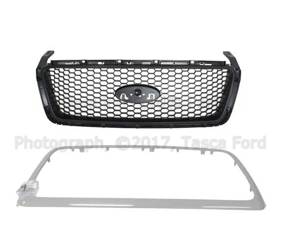 Grille - Ford (4L3Z-8200-CAPTM)