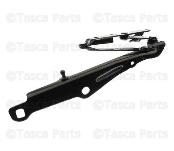 Hinge - Passenger Side (RH) - Mopar (5065264AL) - view 10