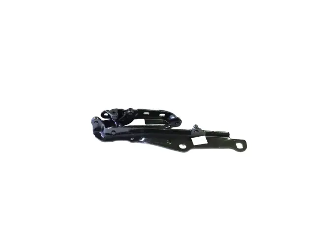 Hinge - Passenger Side (RH) - Mopar (5065264AL) - view 14