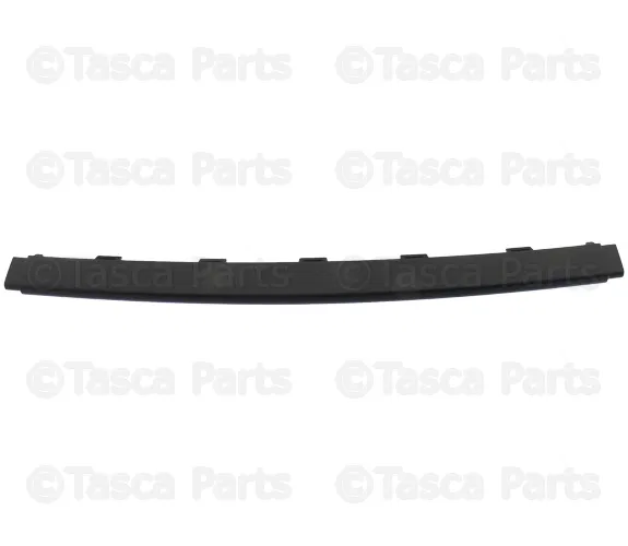 Fascia Applique - Mopar (5113669AB)