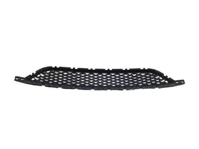 Lower Grille - Mopar (68081409AA) - view 20