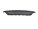 Lower Grille - Mopar (68081409AA) - view 26