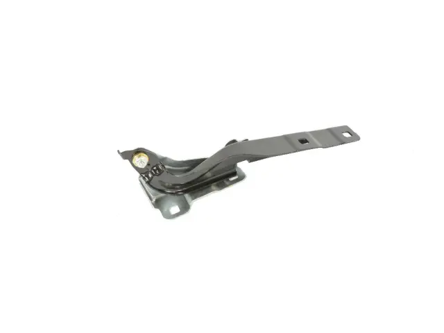 Hinge - Driver's Side (LH) - Mopar (68244075AA)