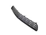 Lower Grille - Mopar (68259756AA) - view 26