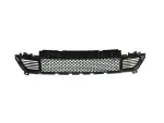 Lower Grille - Mopar (68288044ab) - view 9